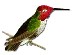 hummer4.jpg
