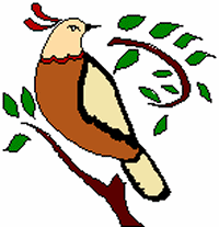 partridge_300p_200.gif